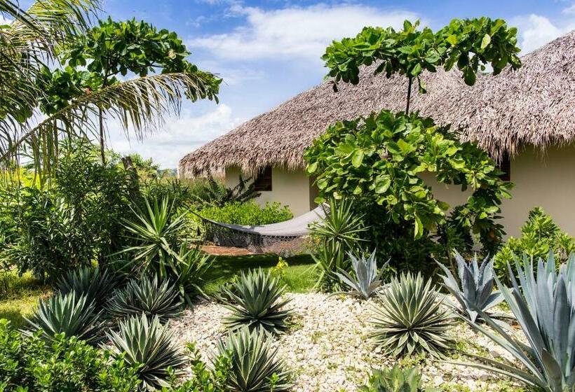 主人套房, Meson Nadi