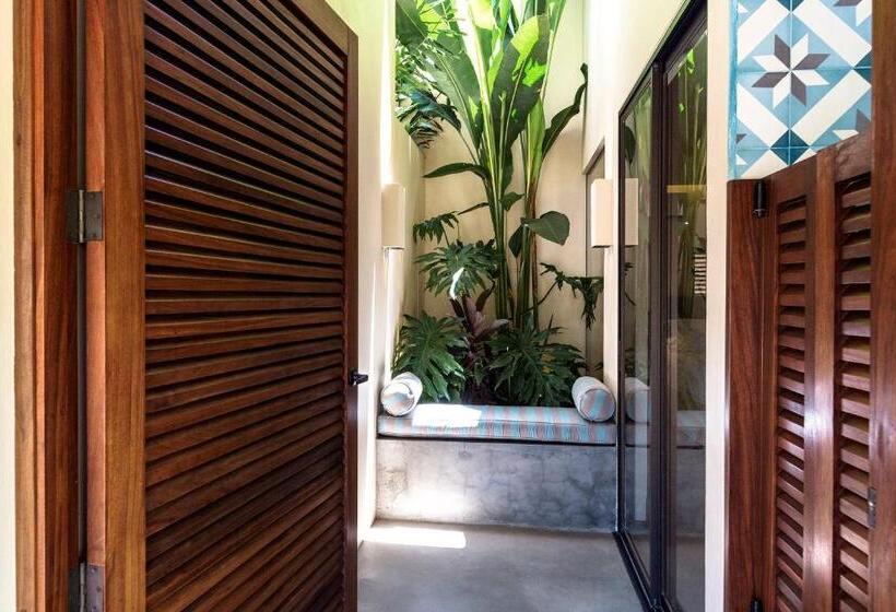 套房带园景, Meson Nadi