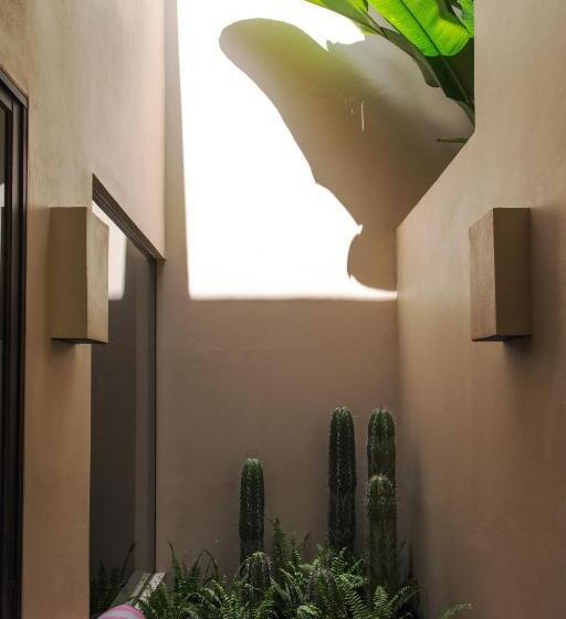 Люкс Вид на Сад, Meson Nadi