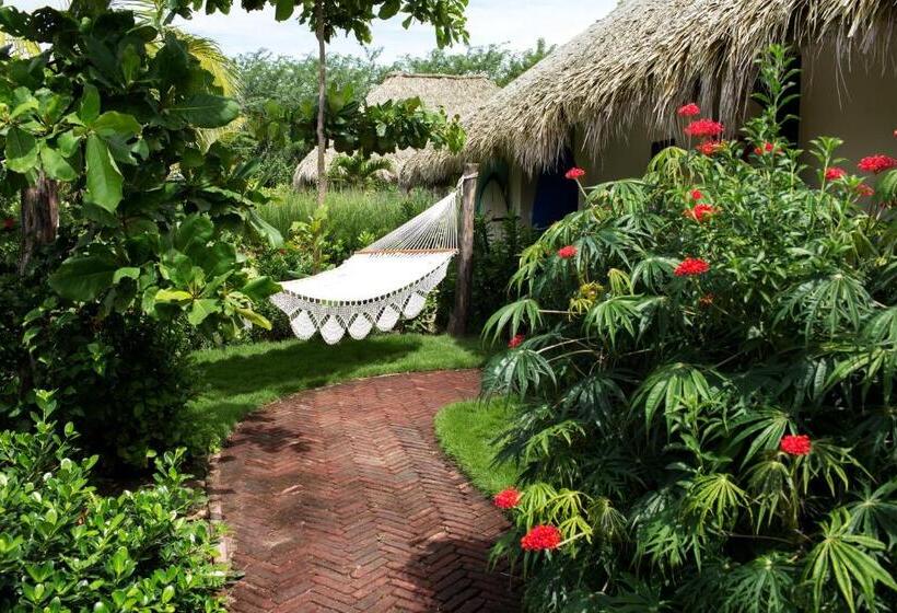 套房带园景, Meson Nadi