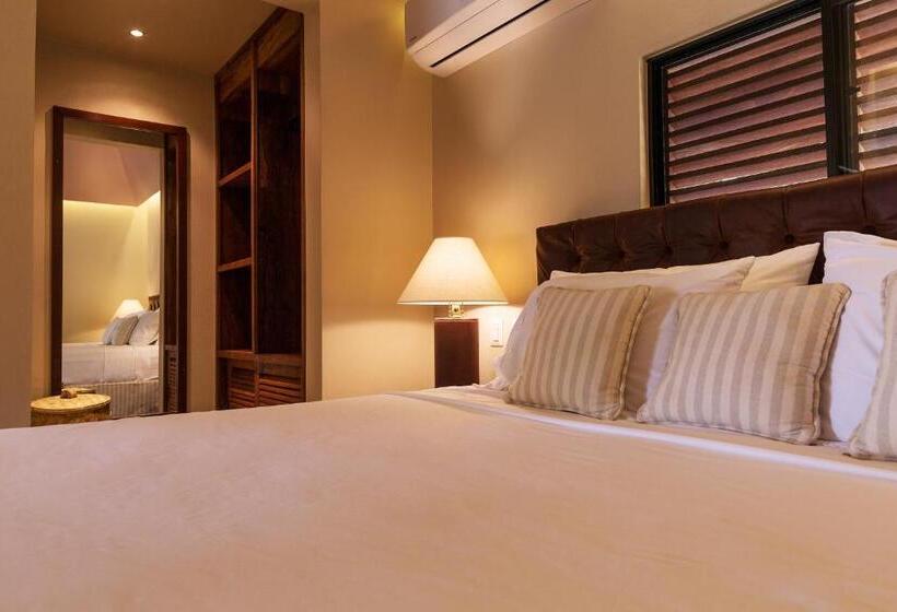 标准间, Meson Nadi