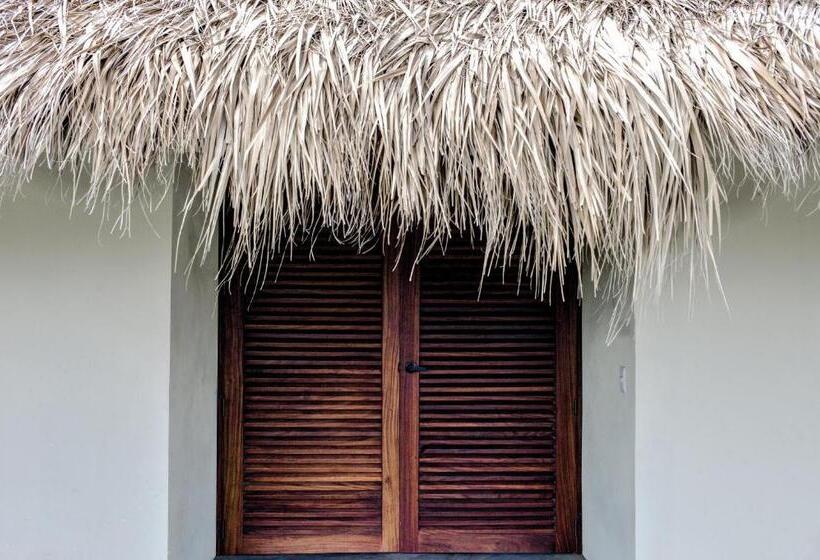 标准间, Meson Nadi