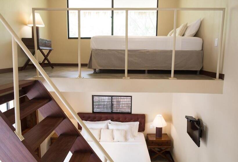 套房带泳池景, Meson Nadi