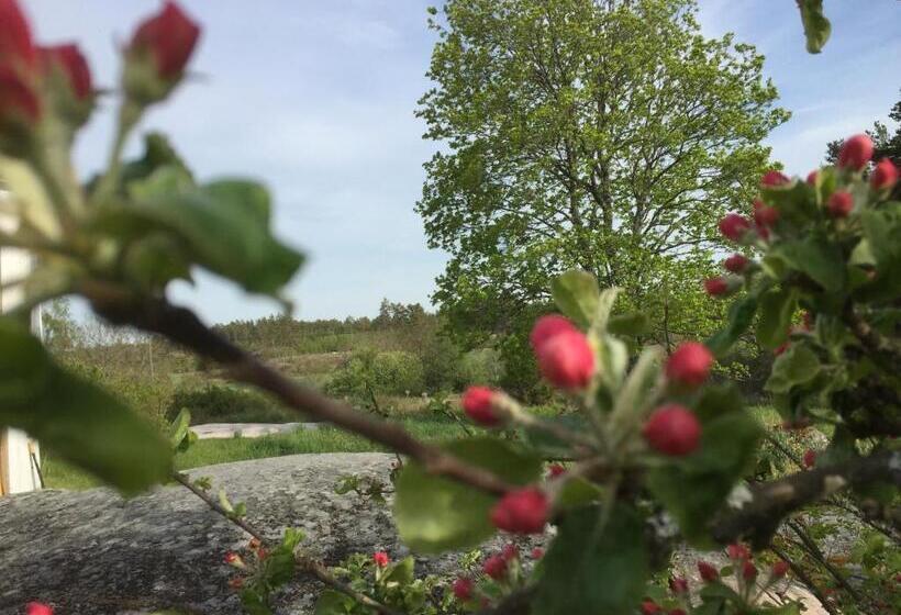 חדר סטנדרט חדר אמבטיה משותף, Stallbacken Nagu