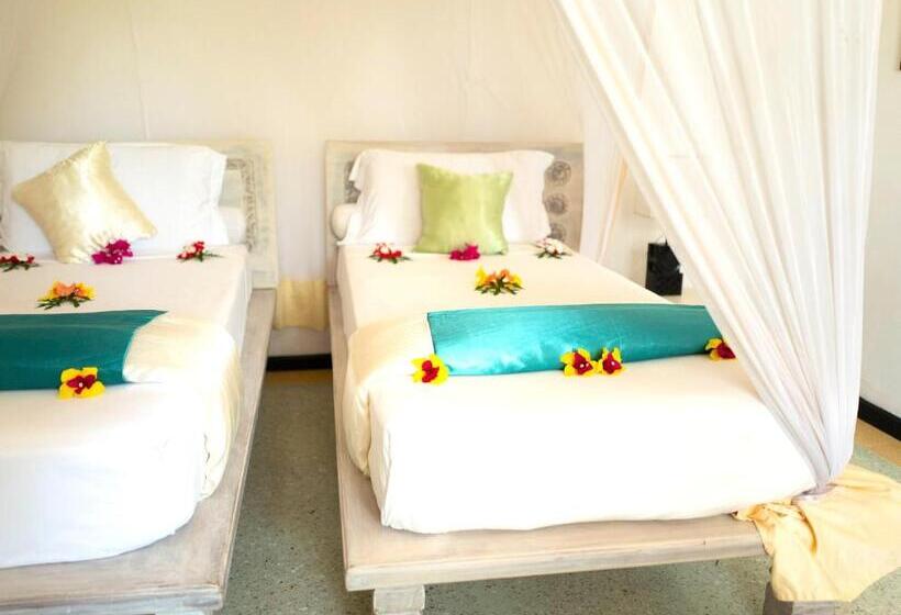 سوییت جونیور, Pongwe Bay Resort