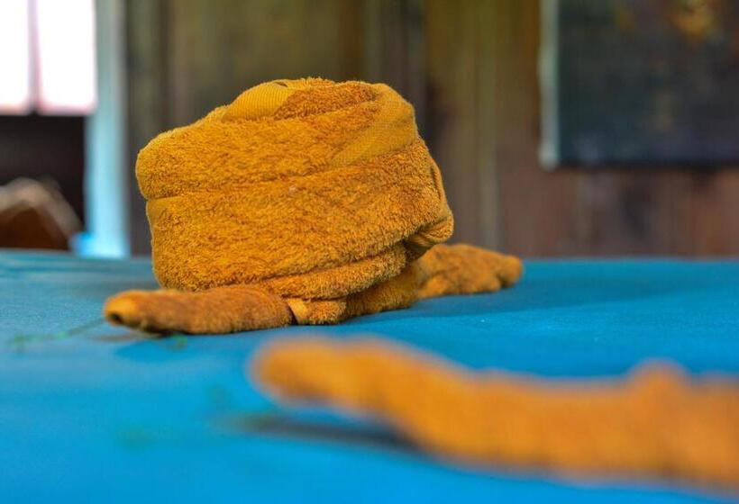 سوئیت جونیور با چشم‌انداز باغ, Soriyabori Resort