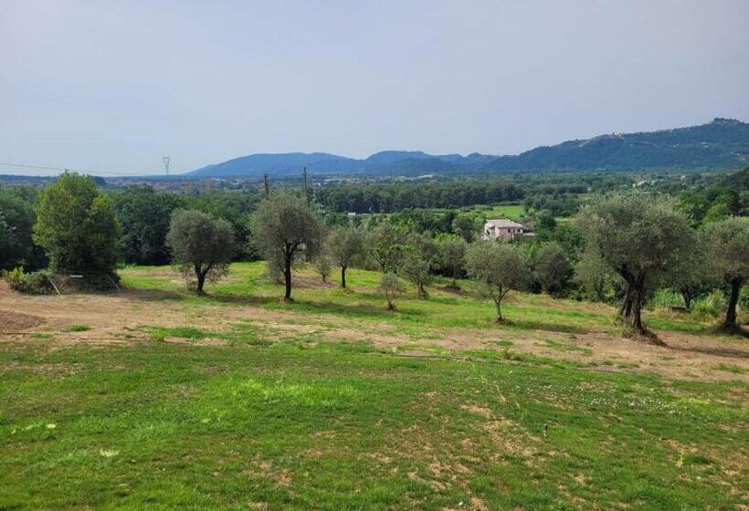 חדר סטנדרט, Rdm Affittacamere