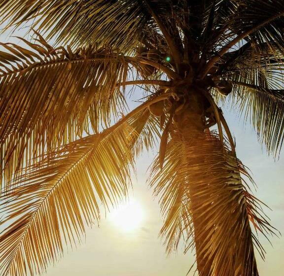 Deluxe Suite King Bed, Seaside Inn Roatan