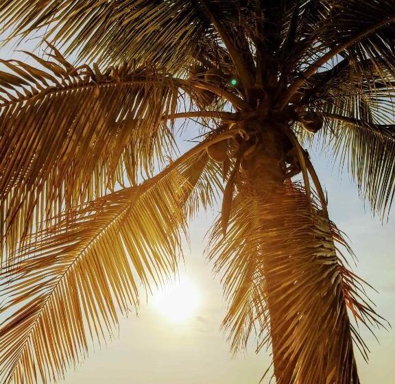 بانگلوی استاندارد, Seaside Inn Roatan