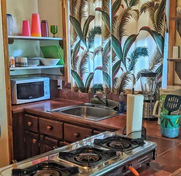 بانگلوی استاندارد, Seaside Inn Roatan