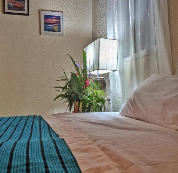 آپارتمان 1 خوابه با چشمانداز دریا, Seaside Inn Roatan