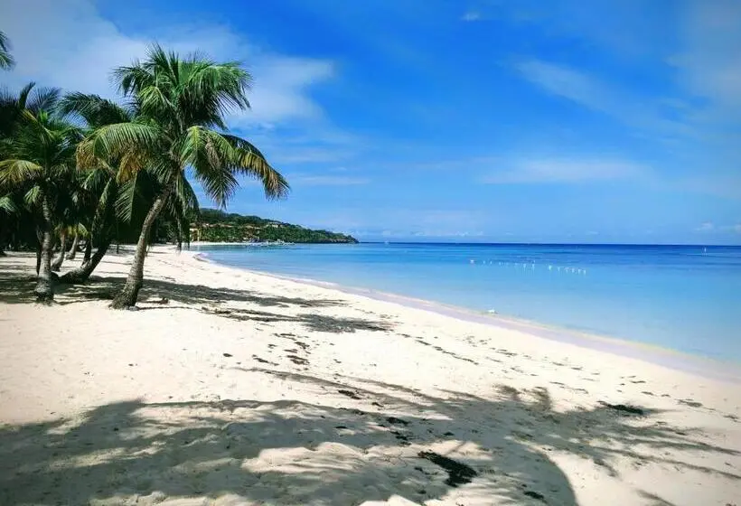 آپارتمان 1 خوابه با چشم‌انداز دریا, Seaside Inn Roatan