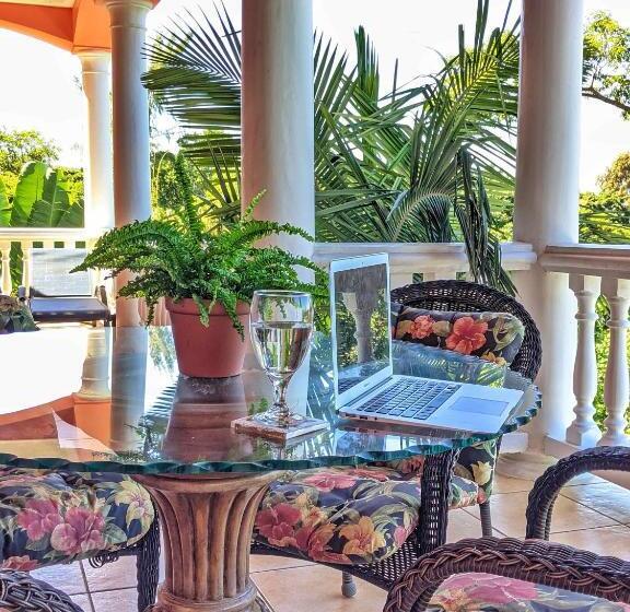 آپارتمان 1 خوابه با چشمانداز دریا, Seaside Inn Roatan