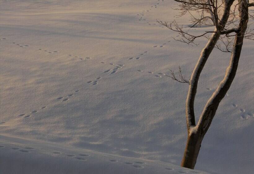 اتاق استاندارد با سرویس بهداشتی مشترک, Akakura Yours Inn