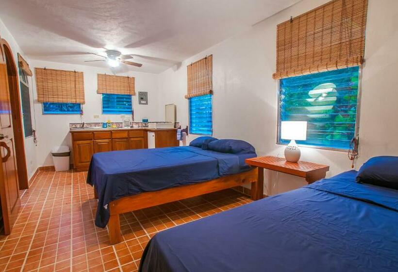 استودیوی لوکس, Chillies And Native Sons Diving