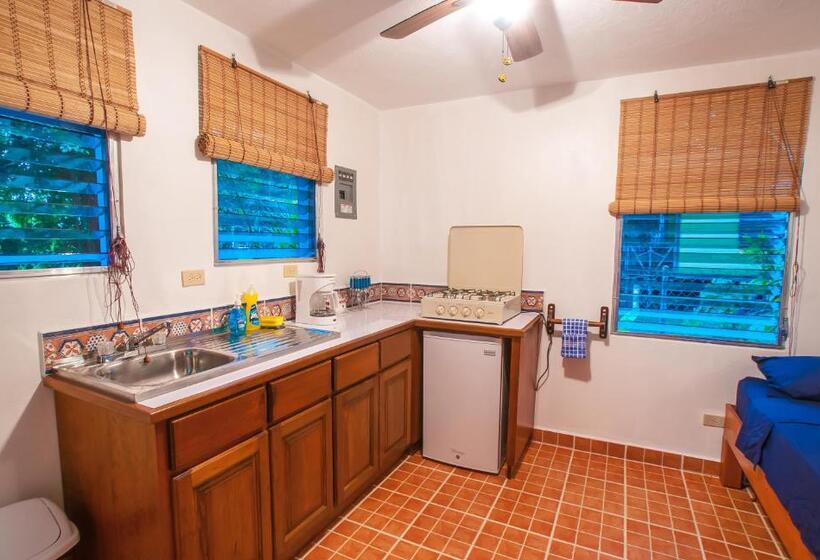 استودیوی لوکس, Chillies And Native Sons Diving