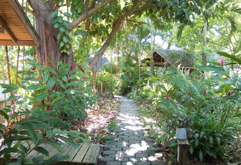 ویلای استاندارد با چشمانداز باغ, Chillies And Native Sons Diving