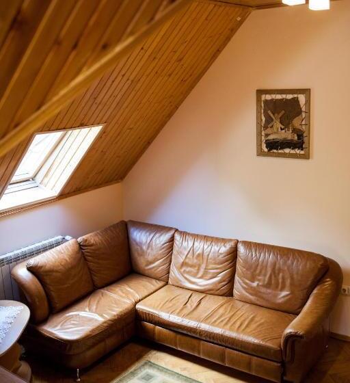 إستوديو قياسى, Goverla