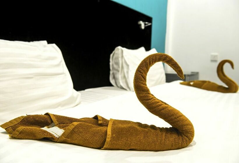 חדר דלוקס, Seven Corals