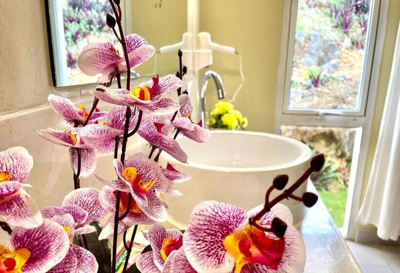 ویلای سوپریور 1 خوابه, Las Galeras Village Ecolodge