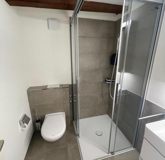 شقة سوبريور غرفة واحدة, Ariser   Zug Old Town Suites