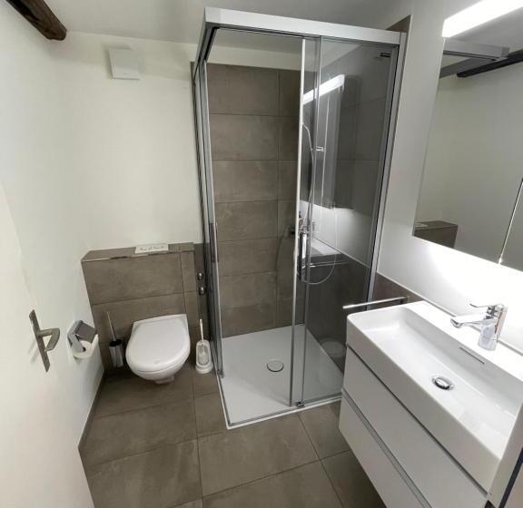 شقة سوبريور غرفة واحدة, Ariser   Zug Old Town Suites