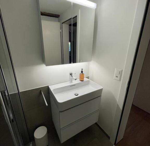 شقة سوبريور غرفة واحدة, Ariser   Zug Old Town Suites