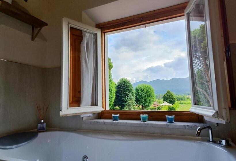 غرفة قياسية مطلة على الجبل, B&b Toringo