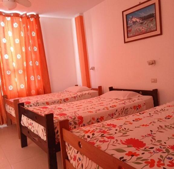 スタンダードトリプルルーム, Orquídea S