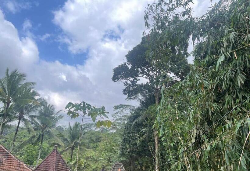 חדר דלוקס, Putri Guest House