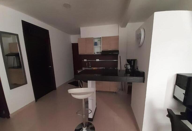 شقة غرفة واحدة, Apartamentos Amoblados Y Aparta Hotel La Unión Valle