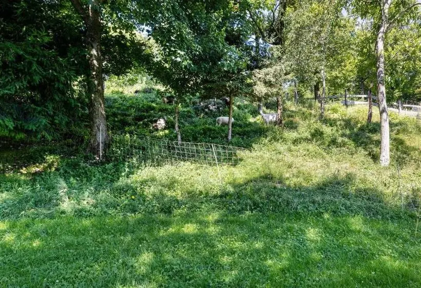 １ベッドルームのスーペリアアパートメント, Agriturismo Malga Riondera