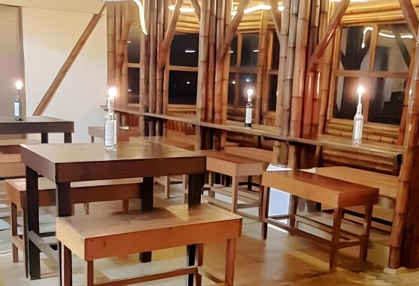 Люкс Повышенной Комфортности, Club Cean