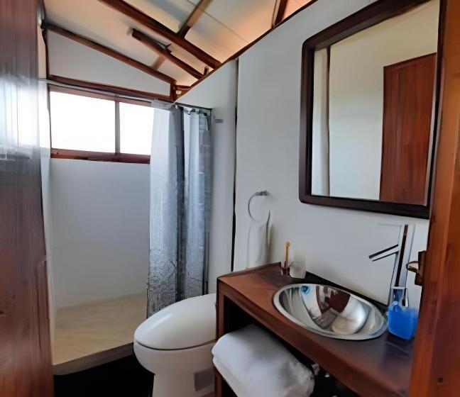 Полулюкс, Club Cean