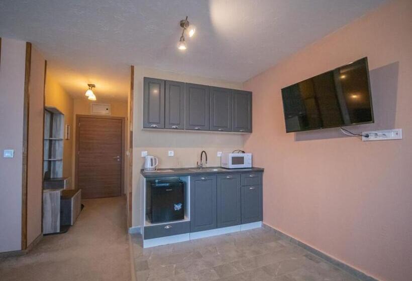 شقة ديلوكس غرفتين نوم, The Bear Pamporovo