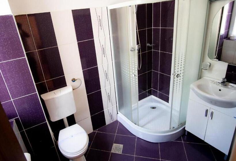 스탠다드 룸, Vila Panseluța