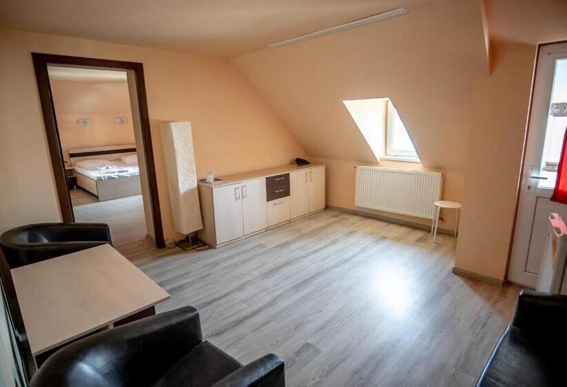 디럭스 룸, Vila Panseluța