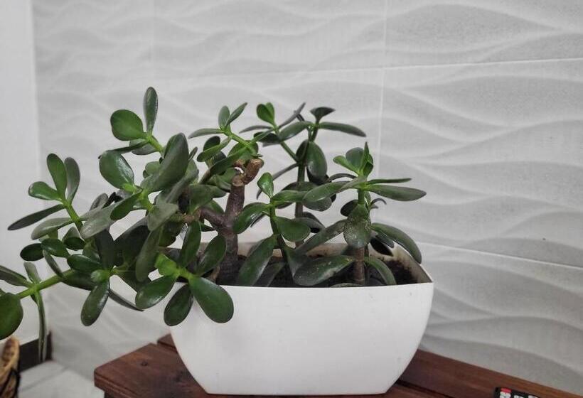 Номер Deluxe, Bnb Ecostay