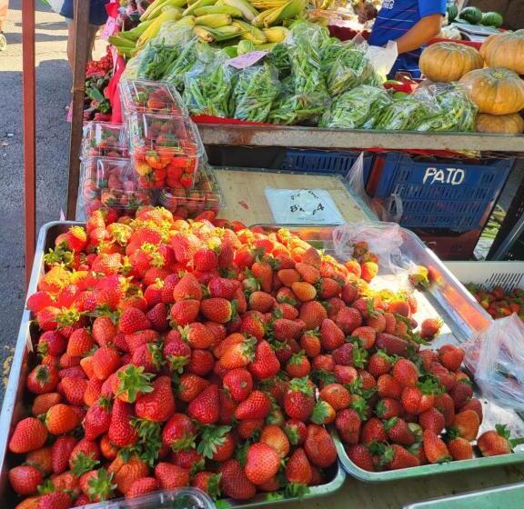 Студия Deluxe, Bnb Ecostay