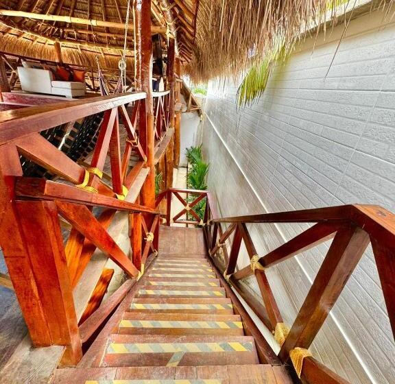 デラックスバンガロー, Espectaculares Cabañas Y Habitaciones Frente Al Mar