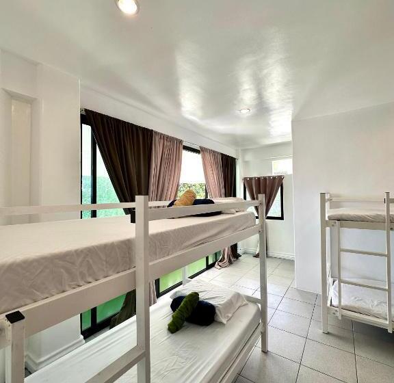 اتاق استاندارد چهار تخته, Gracey Dive Resort And Restaurant