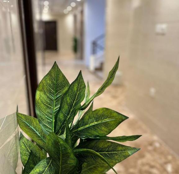 اتاق استاندارد چهار تخته, Al Tawfeeg Hotel   Al Azizyah