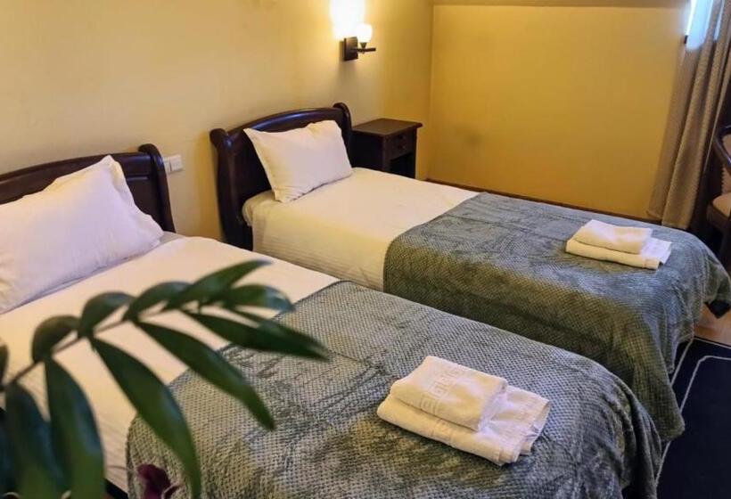 غرفة قياسية, La Cuib Cristian Sibiu