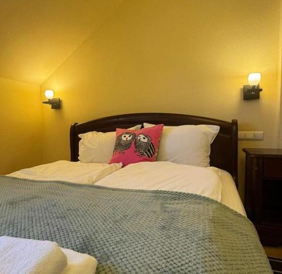 غرفة قياسية, La Cuib Cristian Sibiu