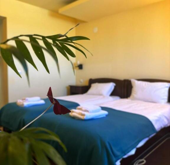 غرفة قياسية, La Cuib Cristian Sibiu