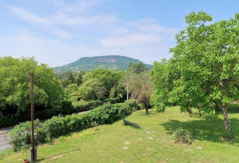 ガーデンビュースタンダードルーム, Csanádi Bor  és Vendégház