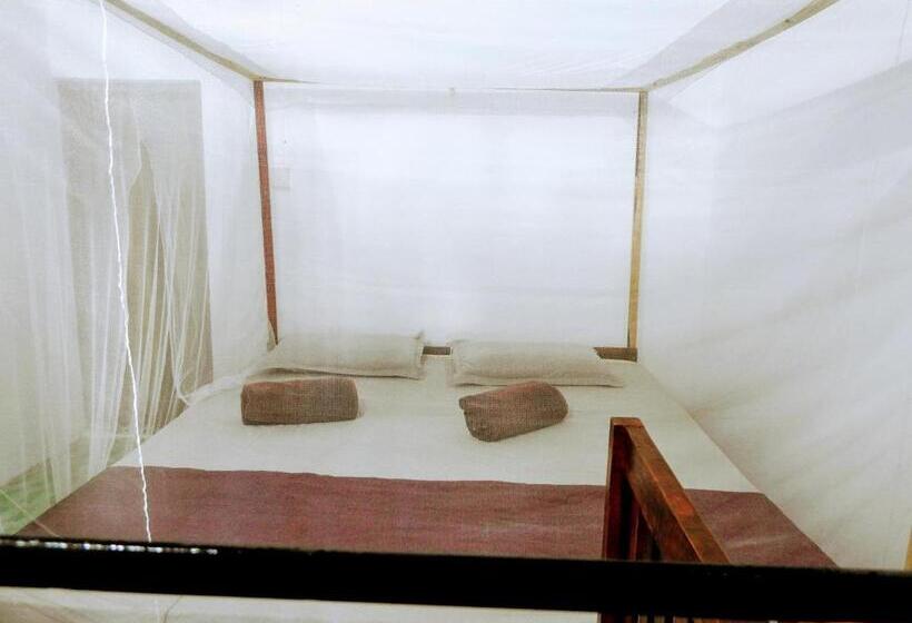 スタンダードルーム, Cresent Bay Beach