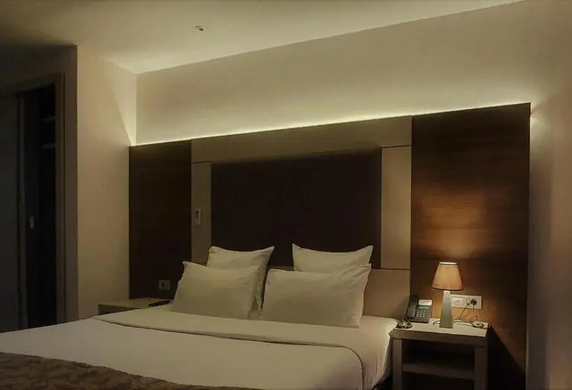 اتاق لوکس با تخت بزرگ, Grand Hotel Central