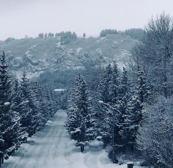 Люкс Вид на Сад, Jermuk Ani