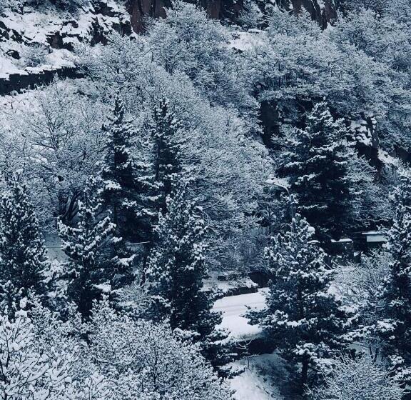 シングルベーシックルーム, Jermuk Ani